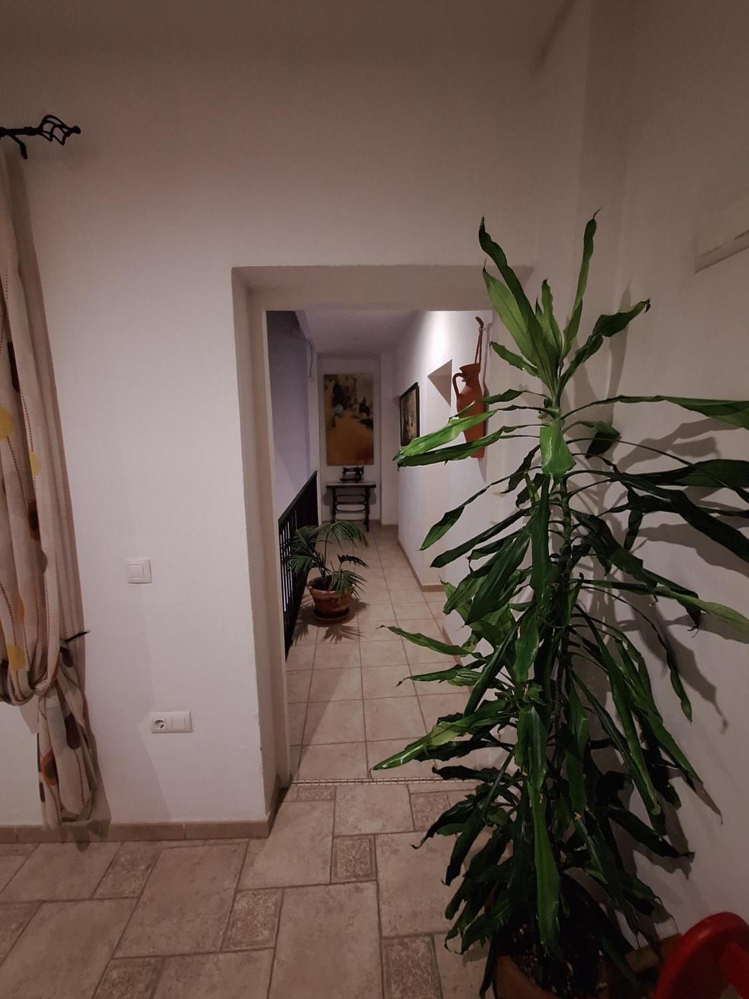 Hostal Fenix Jerez de la Frontera Exteriör bild